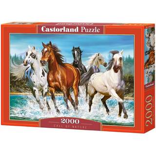 Castorland Heste flokken