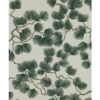 Pine - Green