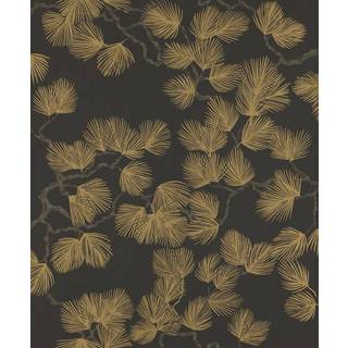 Pine - Black