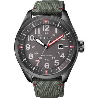 Mænds Citizen Eco Drive Grå Ur