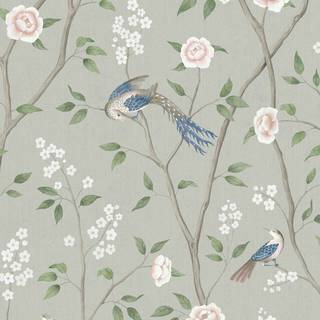 Paradise Birds - 1903