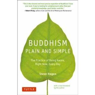 Buddhism Plain and Simple