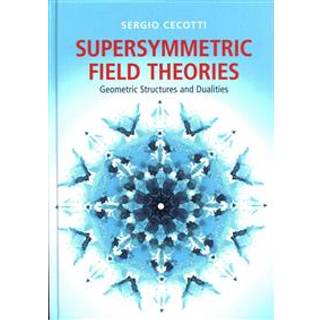 Supersymmetric Field Theories