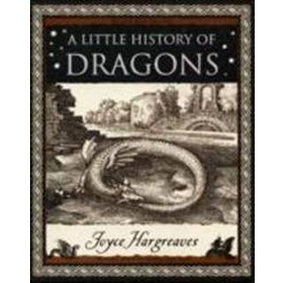 Little History of Dragons