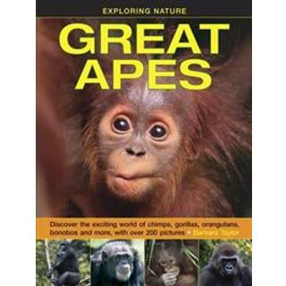 Exploring Nature: Great Apes