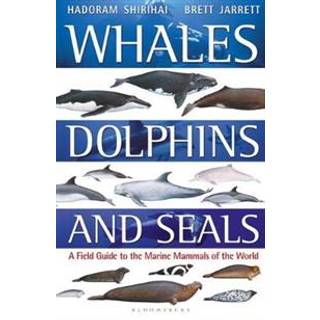 Whales, Dolphins and Seals