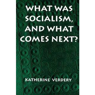 What Was Socialism, and What Comes Next?