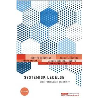 Systemisk ledelse - Den refleksive praktiker, 2. udgave