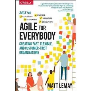 Agile for Everybody