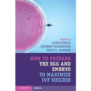 How to Prepare the Egg and Embryo to Maximize IVF Success