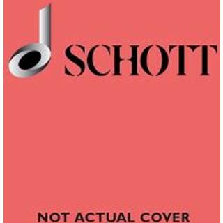 The Modern Recorder Player