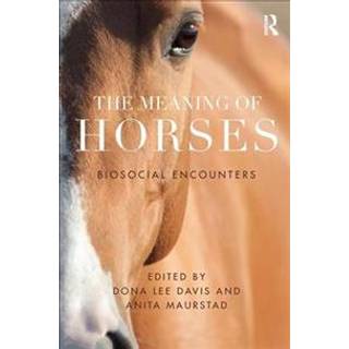 The Meaning of Horses