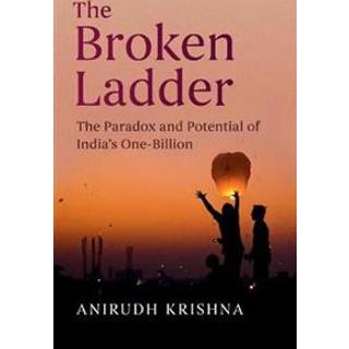 The Broken Ladder