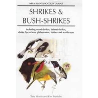 Shrikes and Bush-shrikes