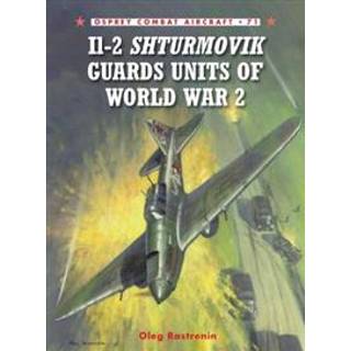 Il-2 Shturmovik Guard Units of World War 2