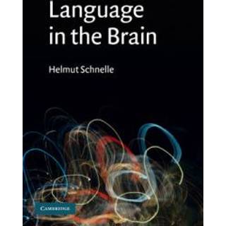 Language in the Brain
