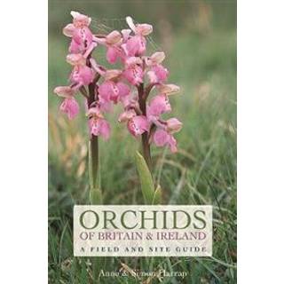 Orchids of Britain and Ireland