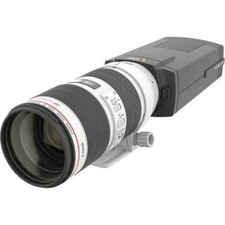 Reading Job Intertextually