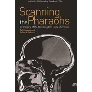 Scanning the Pharaohs
