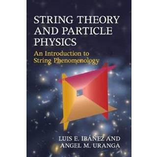 String Theory and Particle Physics