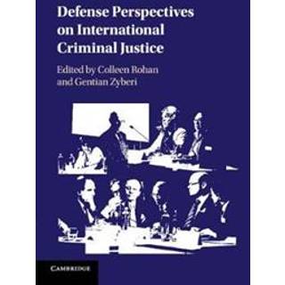 Defense Perspectives on International Criminal Justice
