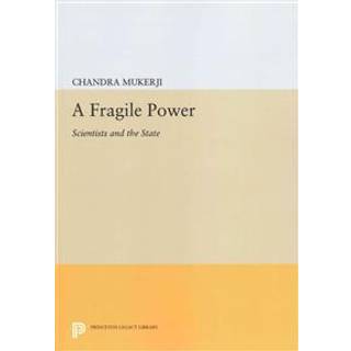 A Fragile Power