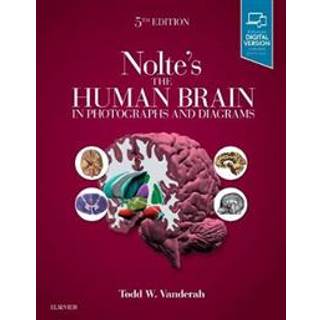 Nolte's The Human Brain in Photographs and Diagrams
