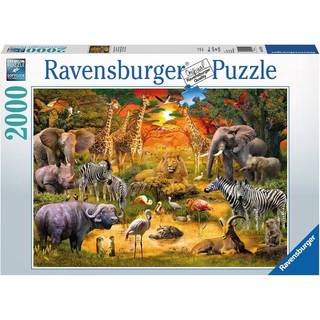 Ravensburger 16702 samling vid vattenhålet - 2000 pussel för vuxna varje bit är unik mjukklicka teknik betyder att bitar passar perfekt ihop