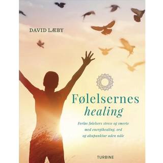 Følelsernes healing - David Læby