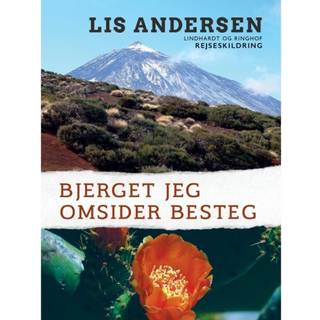 Bjerget jeg omsider besteg