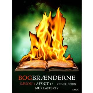Bogbrænderne: Venner i nøden 13