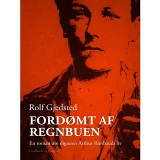 Fordømt af regnbuen. En roman om digteren Arthur Rimbauds liv