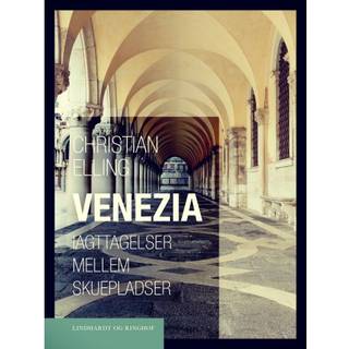 Venezia. Iagttagelser mellem skuepladser