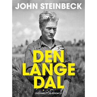 Den lange dal