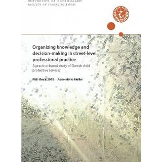 Organizing knowledge and decision-making in street-level professional practice