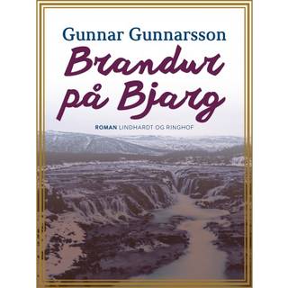 Brandur på Bjarg