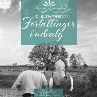 Fortællinger i udvalg