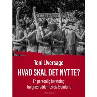 Hvad skal det nytte?. En personlig beretning fra græsrøddernes civilsamfund