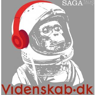 Videnskab.dk #12 - De hypede pyramider