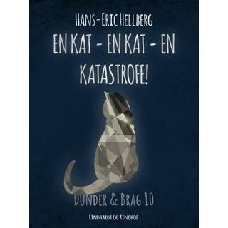 En kat - en kat - en katastrofe!