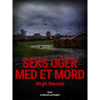 Seks uger med et mord