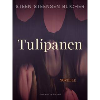 Tulipanen