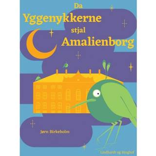 Da yggenykkerne stjal Amalienborg