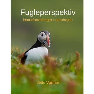 Fugleperspektiv