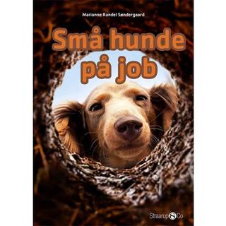 Små hunde på job
