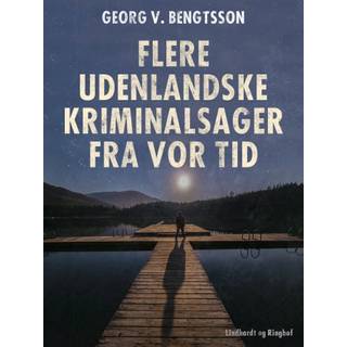 Flere udenlandske kriminalsager fra vor tid