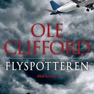 FLYSPOTTEREN