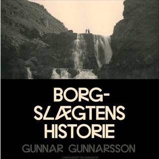 Borgslægtens historie