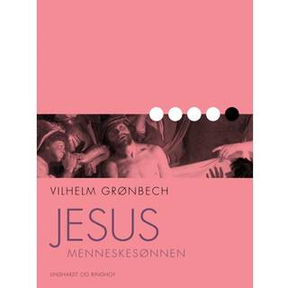 Jesus, Menneskesønnen