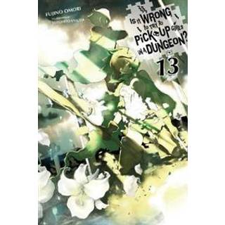 Is It Wrong to Try to Pick Up Girls in a Dungeon?, Vol. 13 (light novel)